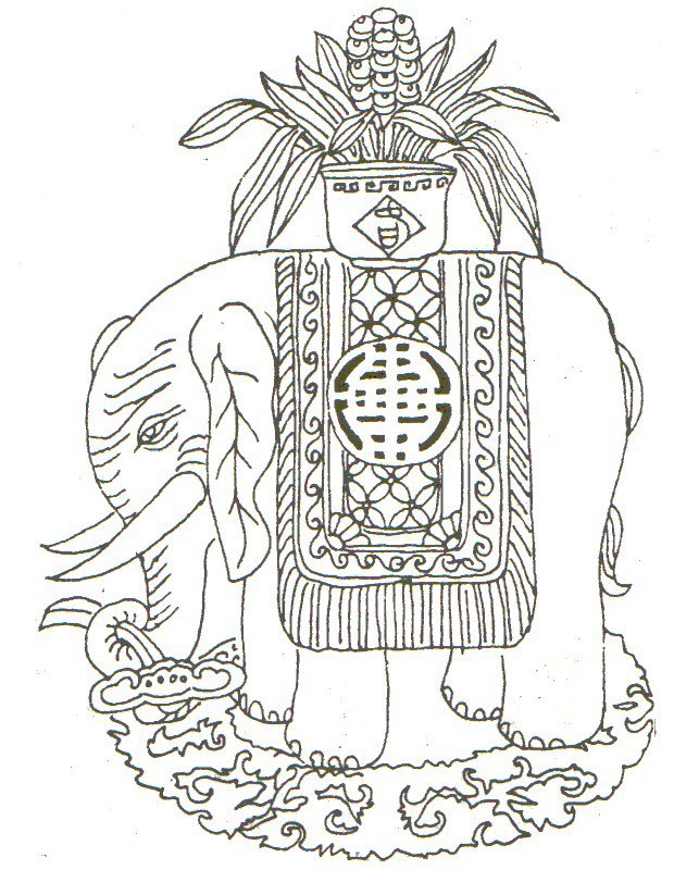 Elephant picture 1