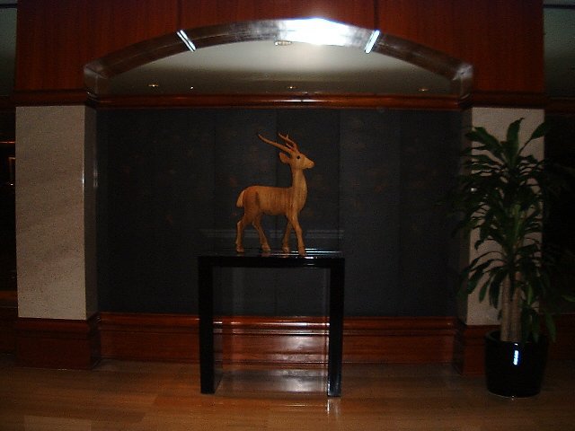 The Hyatt Hotel