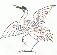 Picture of crane 1