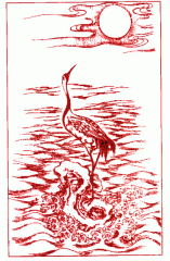 Picture of crane soaring over the sea 1