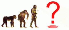 evolution.gif