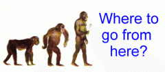 evolution1.gif