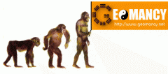 evolution2.gif