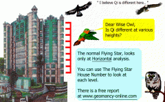 flyingstarhseno1.gif