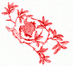 pomegranate4.gif