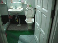 toilet1.jpg