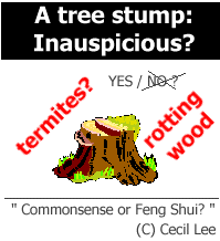 treestump.gif