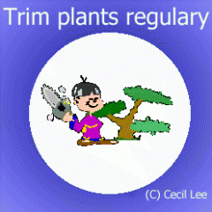 trimplantsregularly.gif