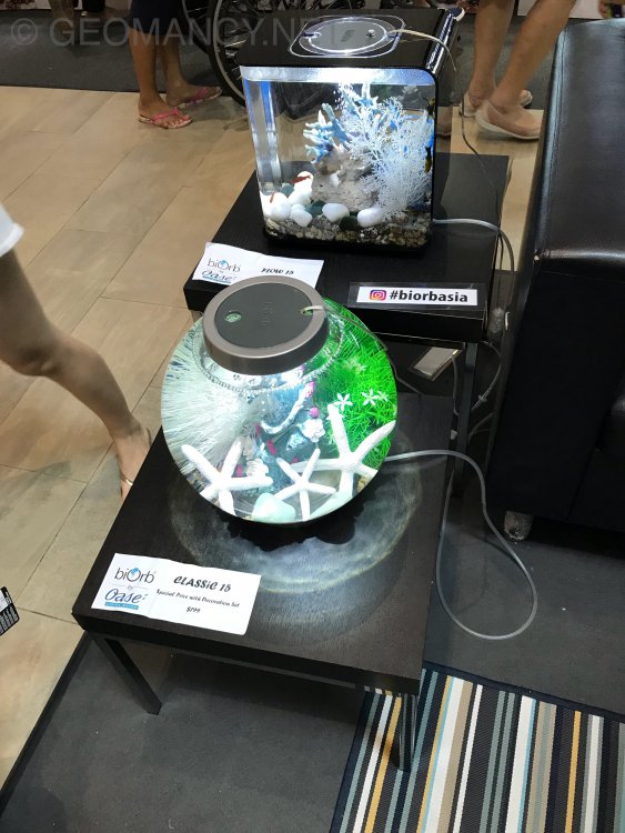 20E7DE67-483D-47C5-B008-C03AB0EFD5CD.jpeg