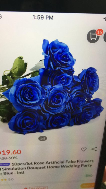 4EAA2FE7-FF50-4F6B-BD4C-2877FE0E51D1.jpeg