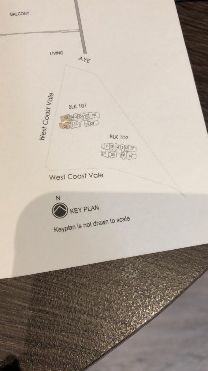 WG site plan.jpeg
