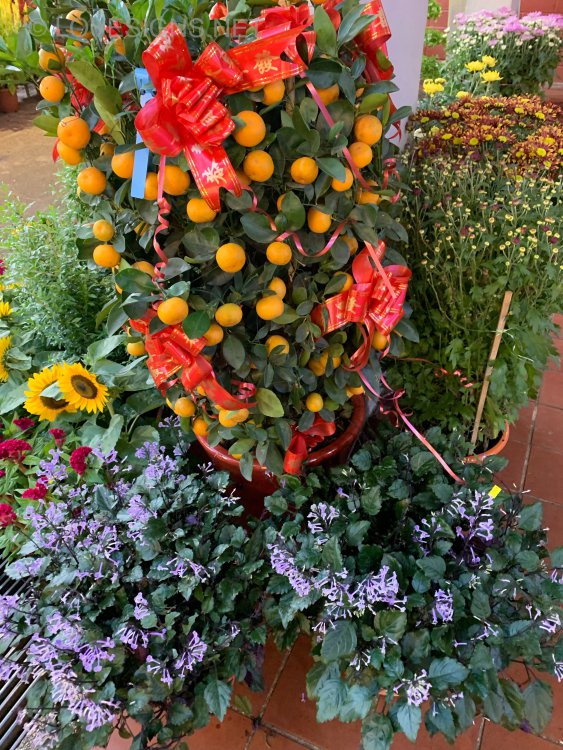 5AC78982-829C-4EC0-87AB-7DDA74ADBF5F.jpeg