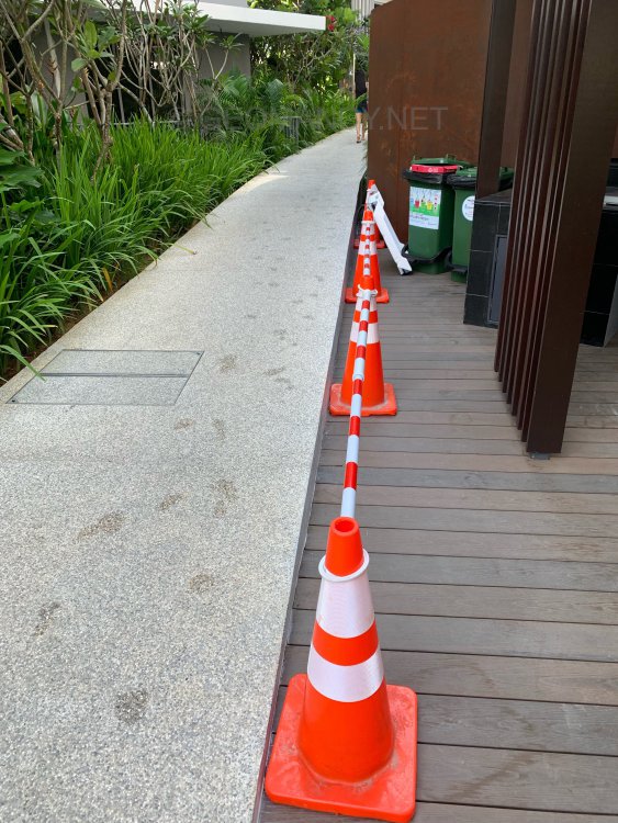 D07405E7-C888-4151-9A13-C42B645EDA18.jpeg