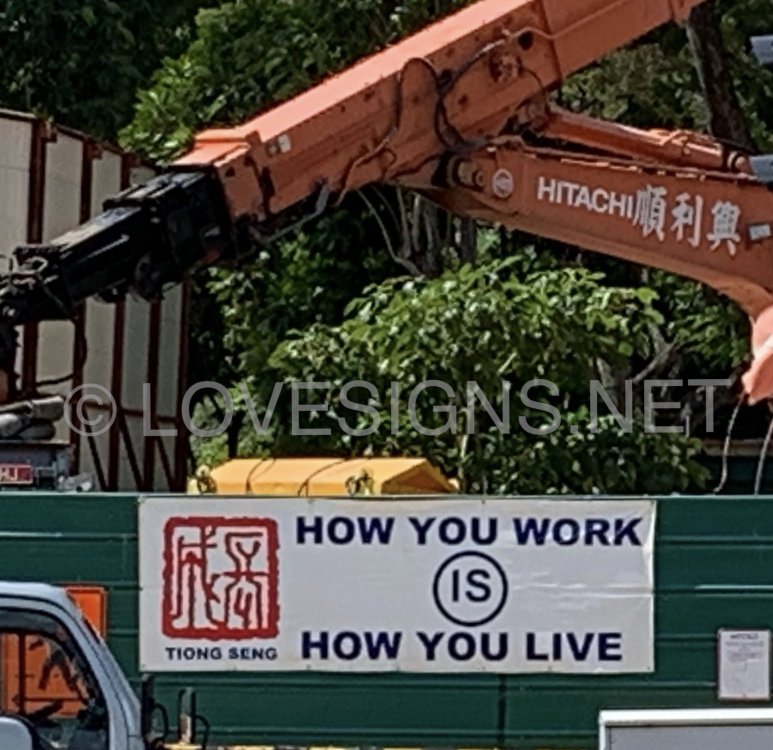 4E80D243-BC68-4C7C-8D4C-277F6F321893.jpeg