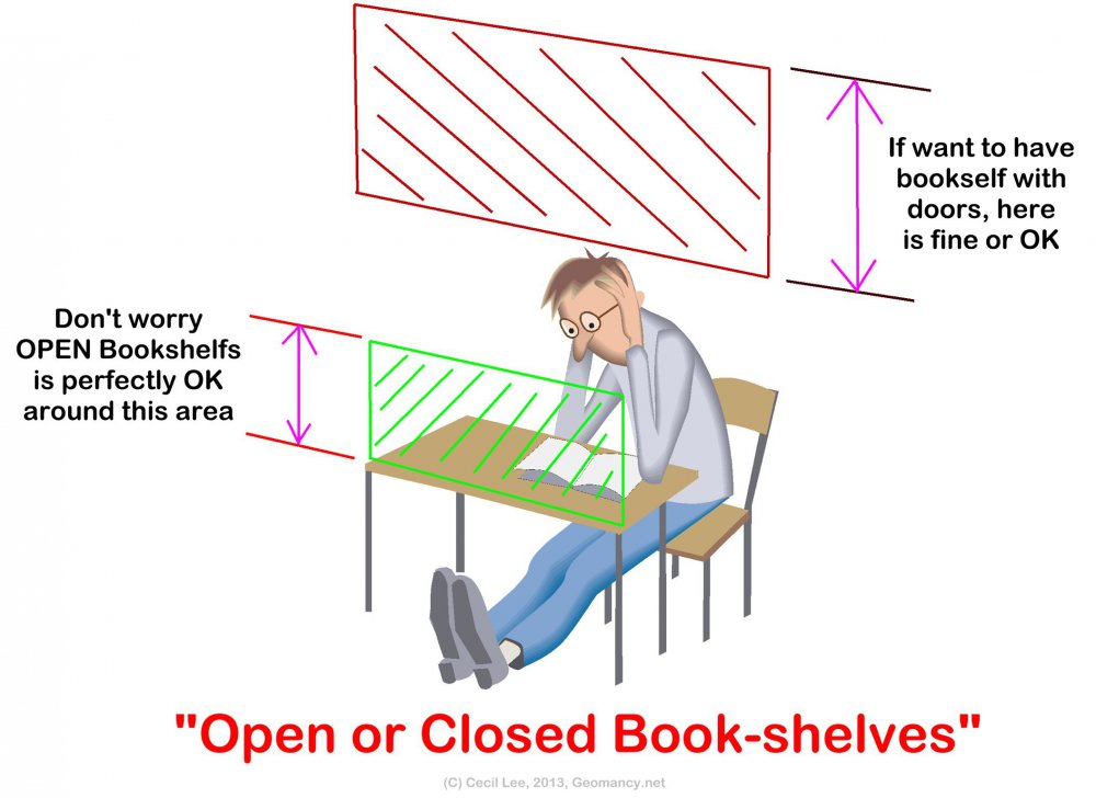 221161976_openorclosedbookshelves.thumb.JPG.87ab175e02facfe12093ce835d12f685.JPG
