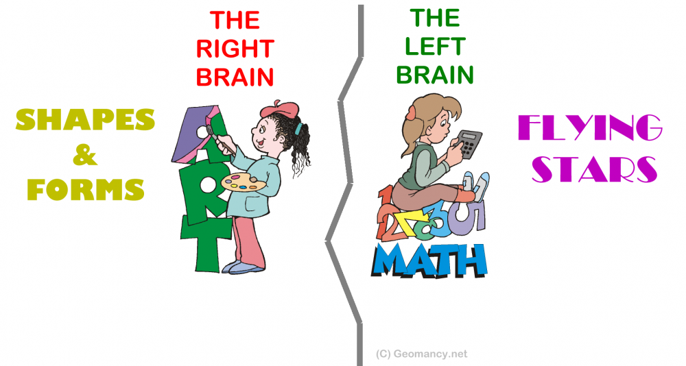 719950519_artandscienceofFengShui.thumb.png.87a32cd3938975dc763cf24dab7497e7.png