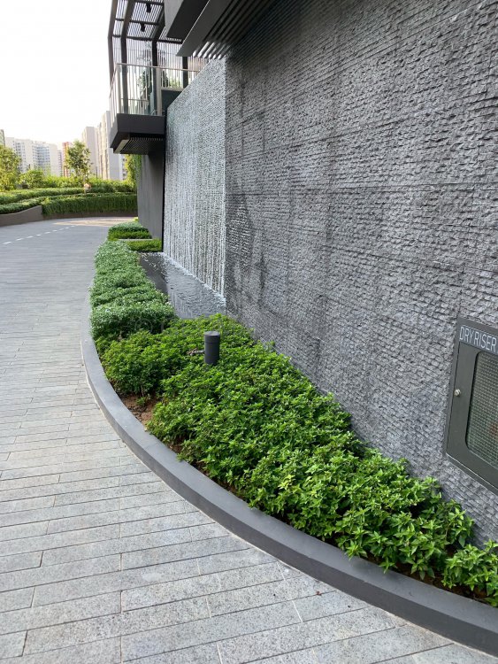 C4165FD5-7DD3-4325-B79A-653E298E8D2F.thumb.jpeg.99066b7265048d45d699b9e8917163bc.jpeg