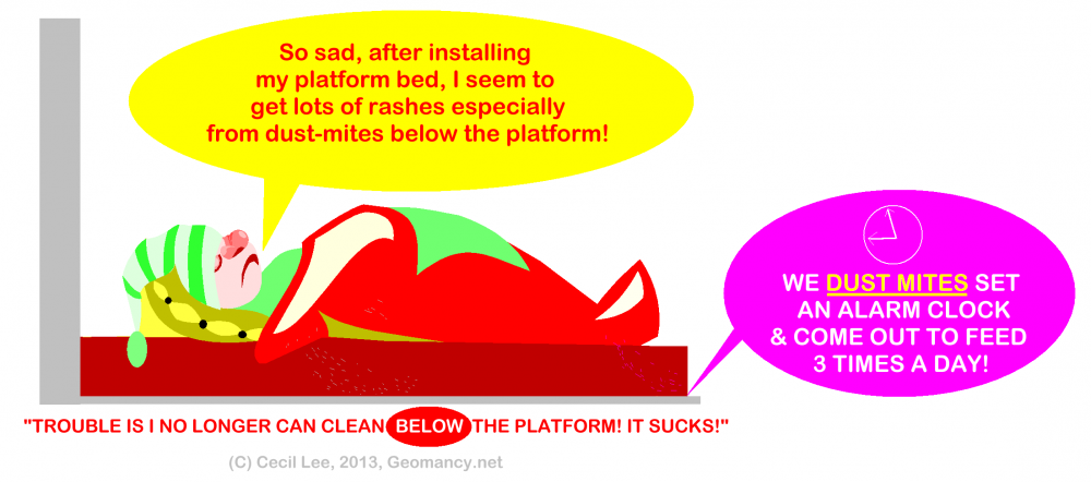 clear_space_below_bed_png_b87d1546b481e46328e7daeb9d65e809.thumb.png.a51c83f9de42fadc16b3523c650758de.png