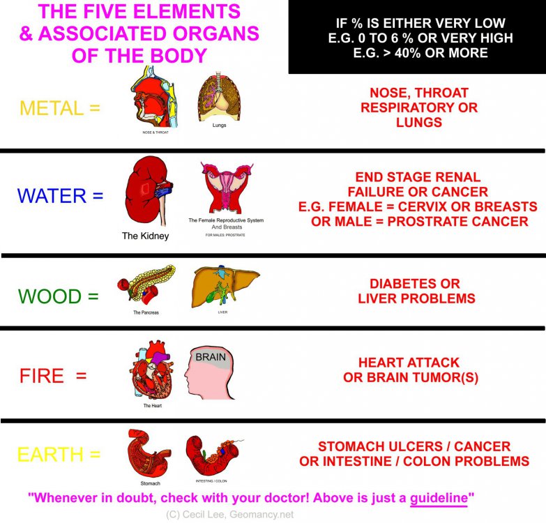 1801706741_yourfiveelementsbreakdownandbodyparts.thumb.jpg.eca212dbe655a7e07faedaef6664af02.jpg