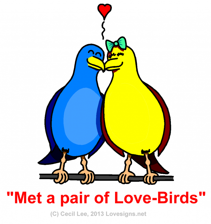 lovebirdsx.png