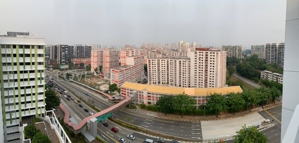 08D46DE9-4CF5-4A52-B3B4-C63322754B3A.jpeg
