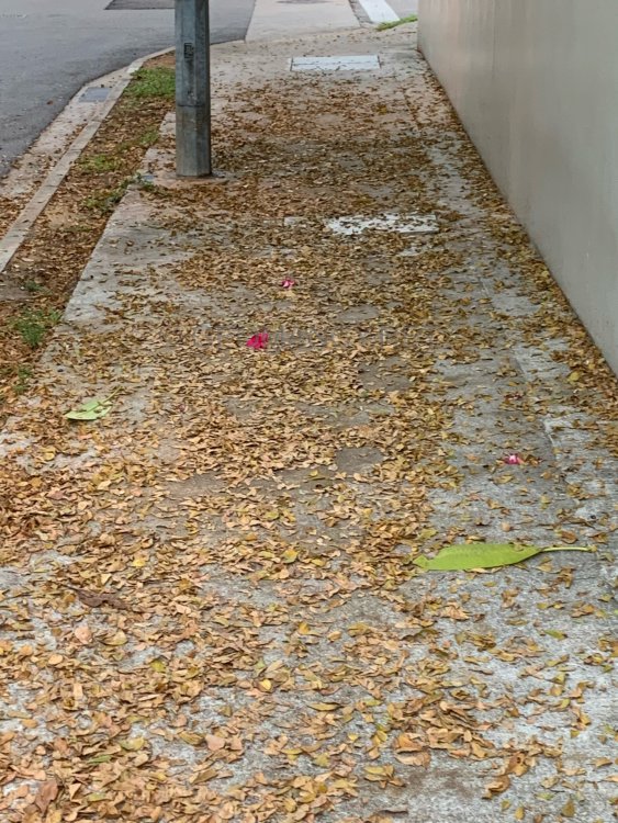 A2072E2E-C201-4D61-ABA5-29FA72335F41.jpeg