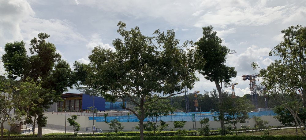 ADB46124-98E6-42F4-952A-013630F8D4CE.jpeg