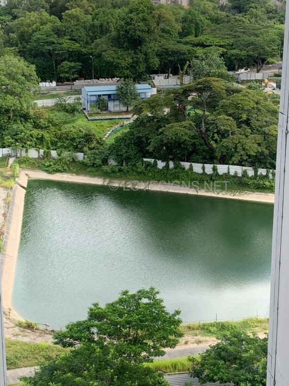08415D55-330A-4677-B89E-F0267CCBC0CB.jpeg