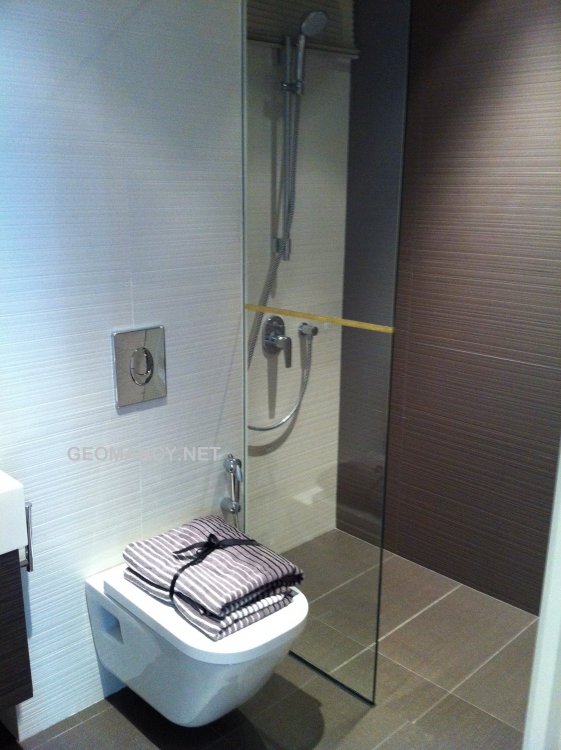 Sample wall mounted WC (2).jpg