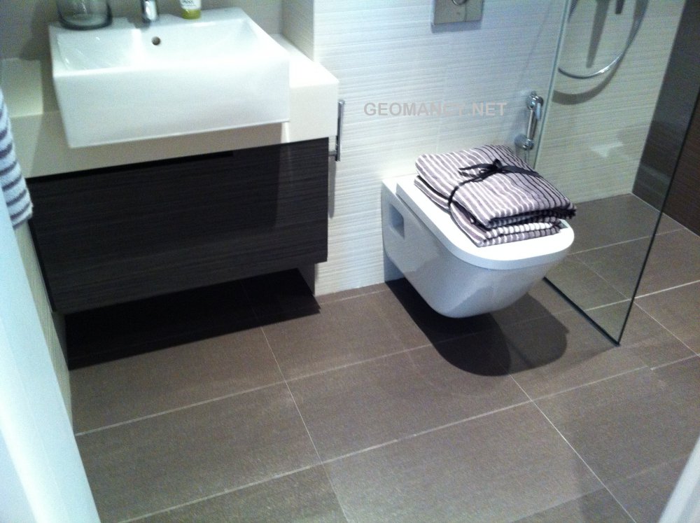 Sample wall mounted WC (1).jpg