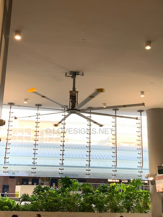 Is ceiling fan in the bedrooms OK? - Feng Shui Tips & Guidelines