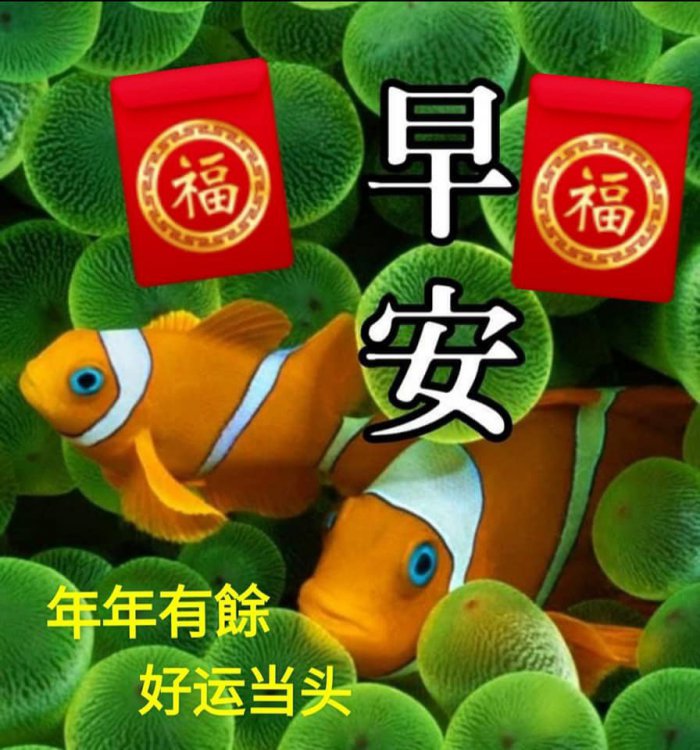 775C1DD1-B95C-4AD9-8E3A-87C997746E42.jpeg