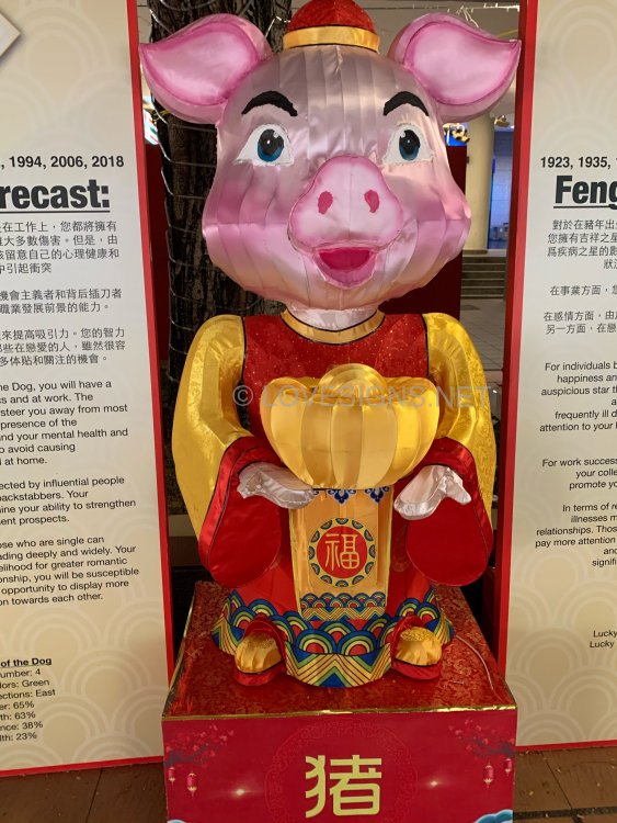 8EBC1B97-16DD-40DC-9484-5D13FACF2F9F.jpeg
