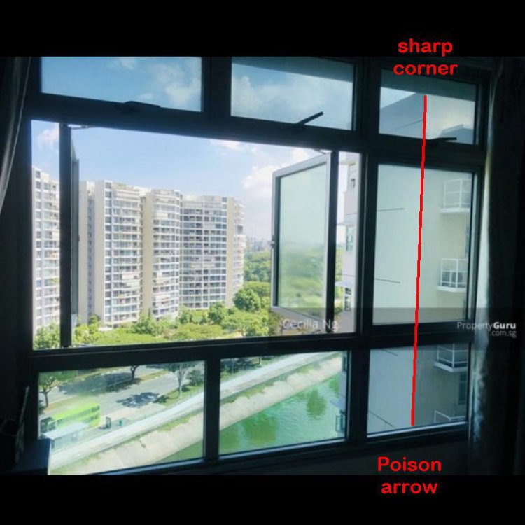1791770818_potentialpoisonarrowfromsharpcorner.thumb.jpg.0af0cd6f1f006d447277c7a70c7c9678.jpg