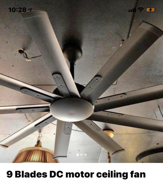 64D6C750-F0B7-4191-B77D-5048D65F968B.jpeg