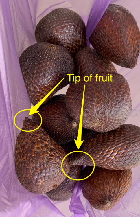FE907345-F0BB-43A0-B021-EB438A540A5D.thumb.png.c619efae9cffcbc36feb2c030fc8834c.png