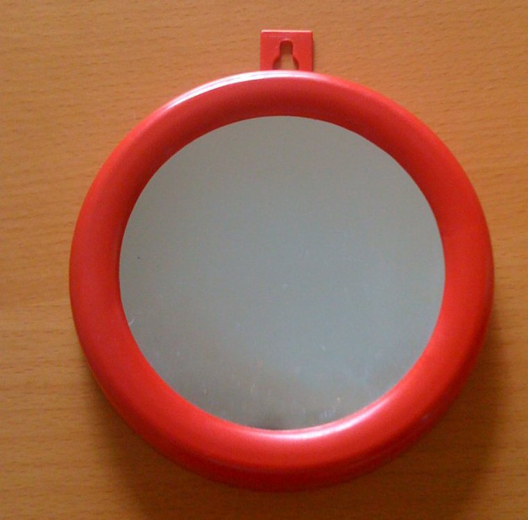 1ACBA59C-3725-4153-B92D-82E9864F9670.thumb.jpeg.6ee9fe7083a719497e514ec9f7e18b51.jpeg