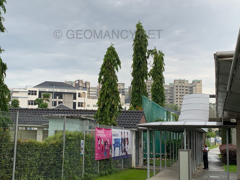 D6122A1F-12C7-446F-9AB3-0C680AA4A2A9.jpeg