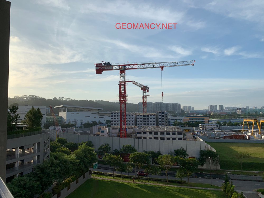 F8DE0971-5518-48F9-AD86-50AABCEF8A8A.jpeg