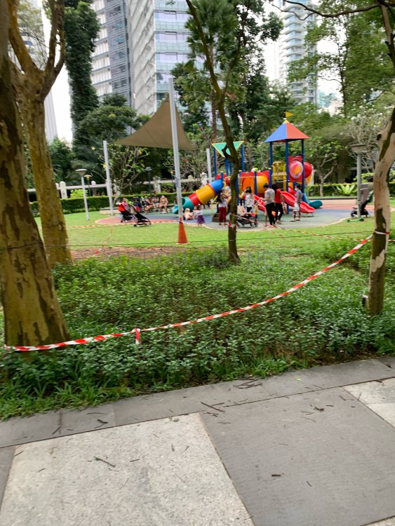 F6117738-46FD-49FE-95C6-DC2F7C127210.jpeg