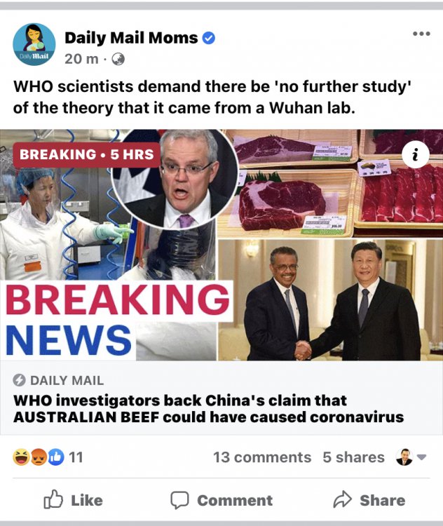 4D34D536-D608-49F8-86B1-D536E4B15CA9.jpeg