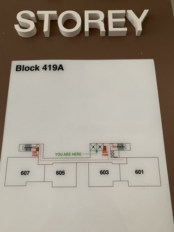 5072F525-ADD1-43C3-919A-751ABEDA3488.jpeg
