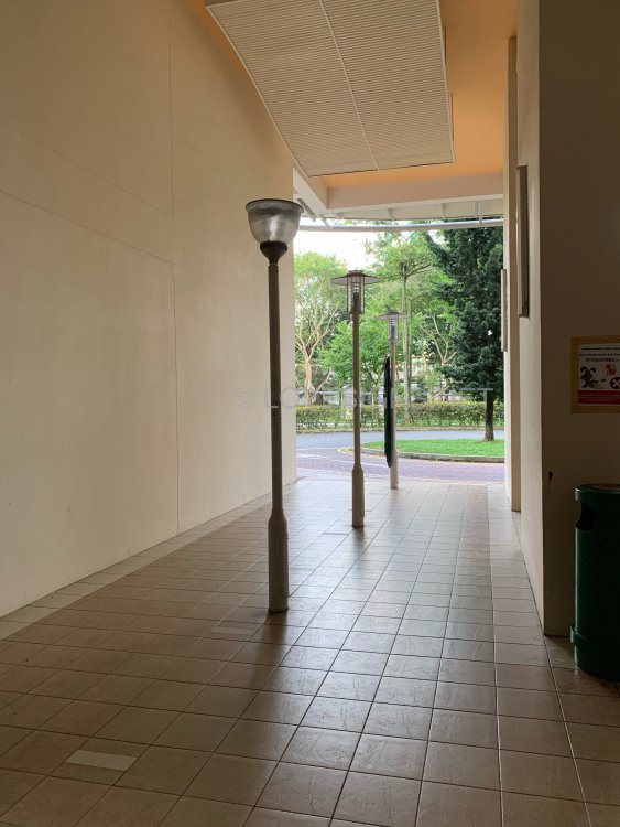 F3714F3E-3E38-444D-90AA-9836F2272FA4.jpeg