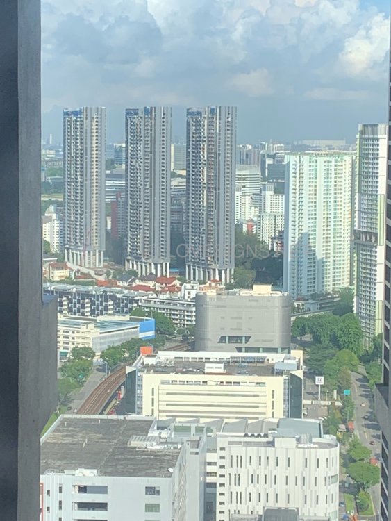 AF2AD9B5-BECE-4652-A447-1FF0A2427411.jpeg