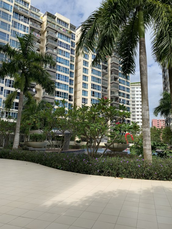 C2E67452-BF49-4AA0-8640-81DD7127C094.jpeg