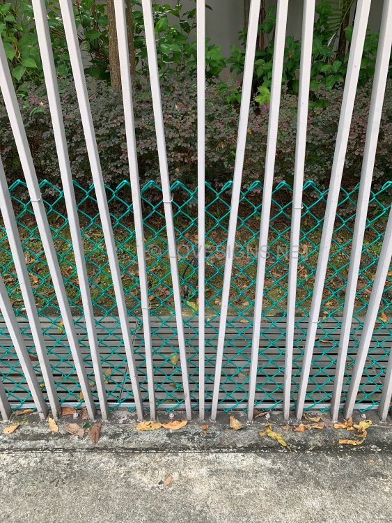71359BE0-7DFA-4A20-99E0-52248124AE71.jpeg