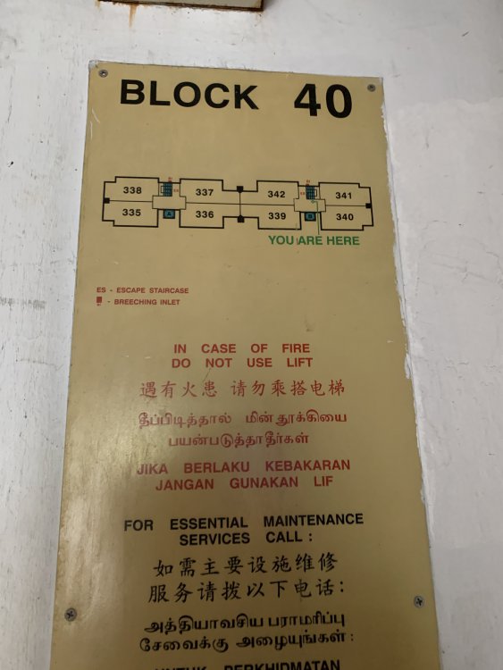 D8F78E10-CD45-48B8-90C7-C981D1D473C5.jpeg