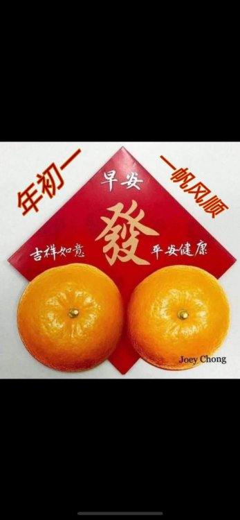 13EC4A20-7EC3-4F2B-8F92-23C400E452D8.jpeg