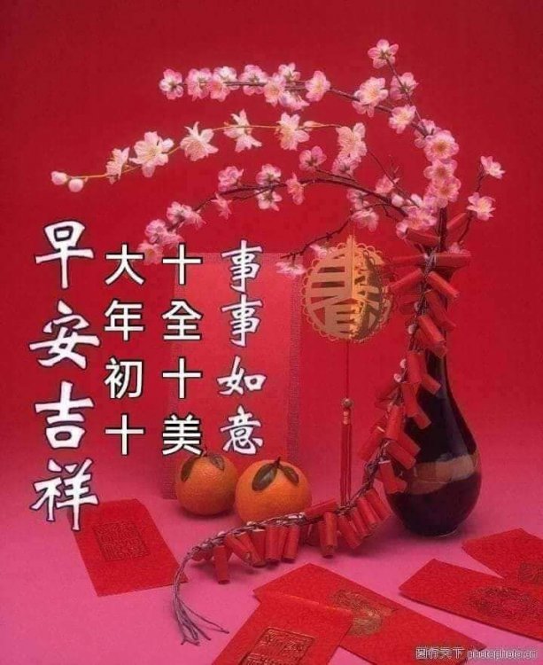 49D28B63-E1AA-45FC-A85C-0DFF19C69462.jpeg