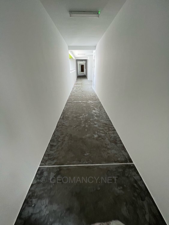 7E889E90-BA05-4D64-BE36-F8D9E0878507.jpeg